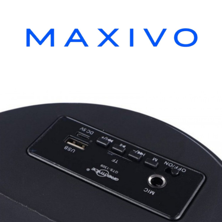اسپیکر بلوتوثی گریت نایس GTS-1309 + میکروفون